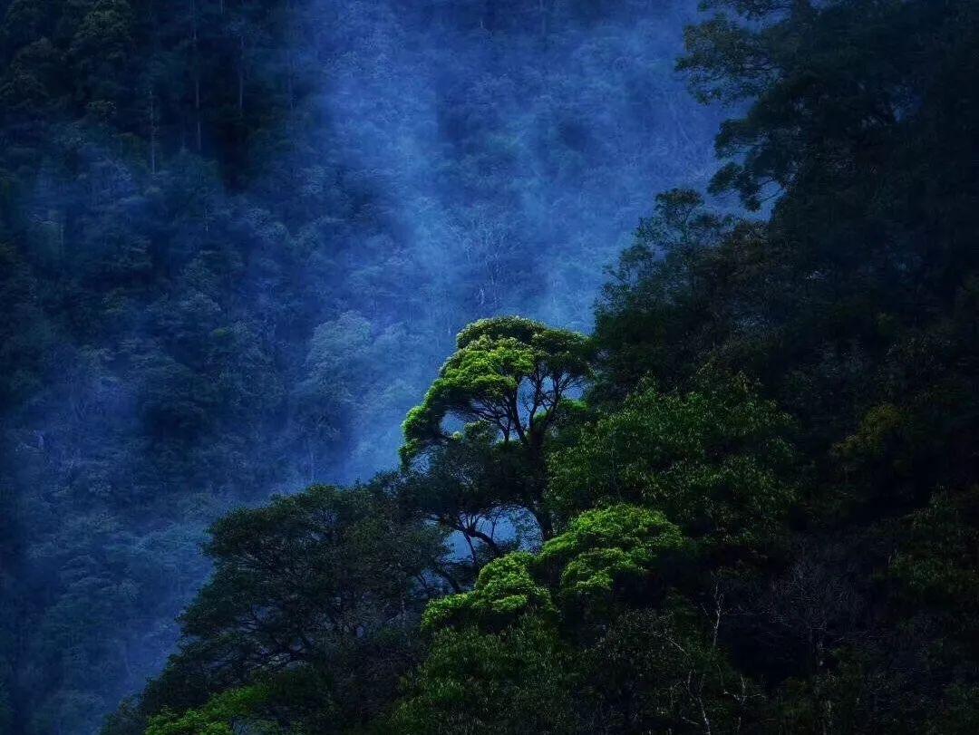 探索历史上最被误解的人是谁? - 发现热门话题,了解全球动态
